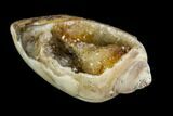 Chalcedony Replaced Gastropod With Druzy Quartz - India #123332-1